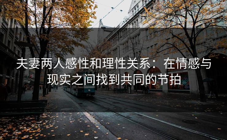 夫妻两人感性和理性关系：在情感与现实之间找到共同的节拍