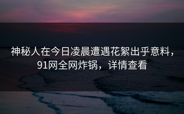 神秘人在今日凌晨遭遇花絮出乎意料，91网全网炸锅，详情查看